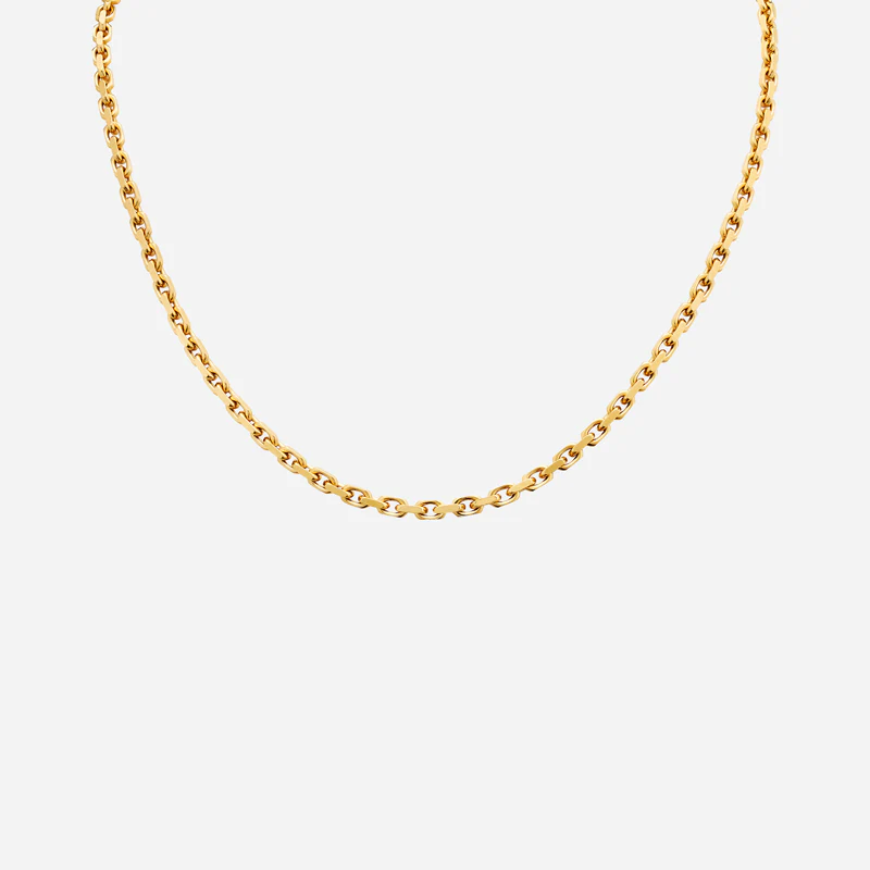 Anchor Chain in Yellow Gold (FANCHOR0400443A)
