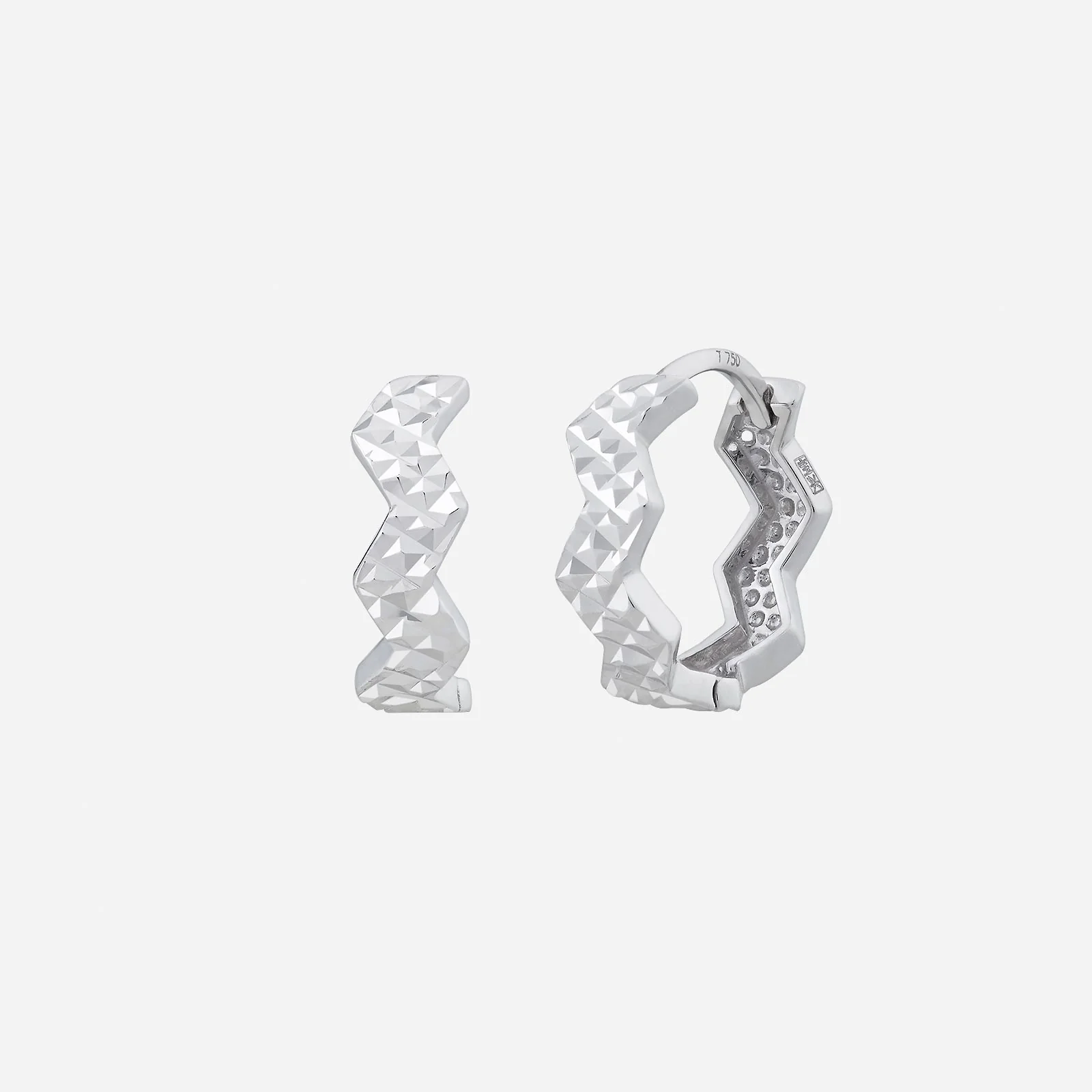 Earrings in White Gold (H750STYLE1355A)
