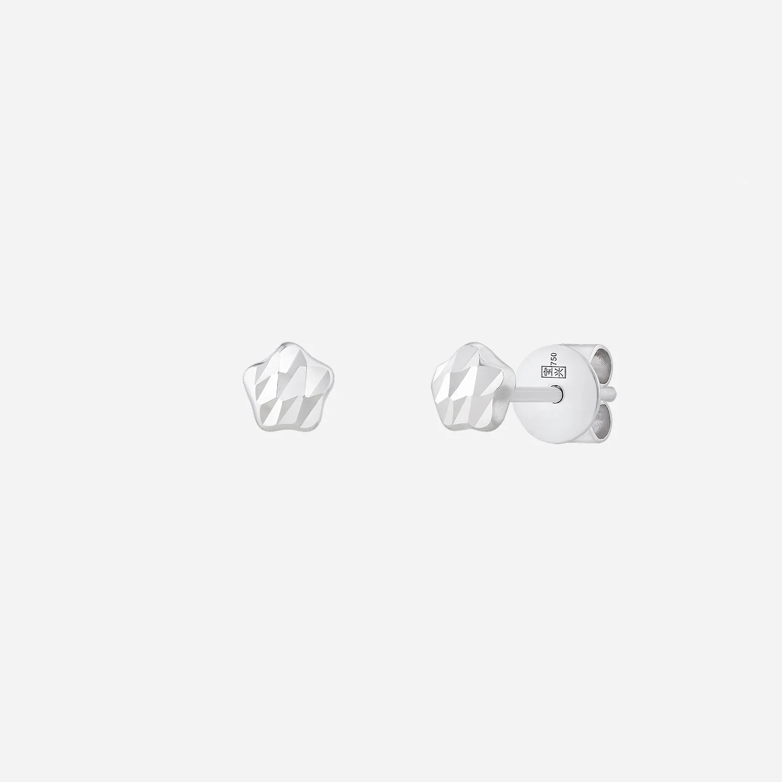 Star Earrings in White Gold (H750STYLE1437A)